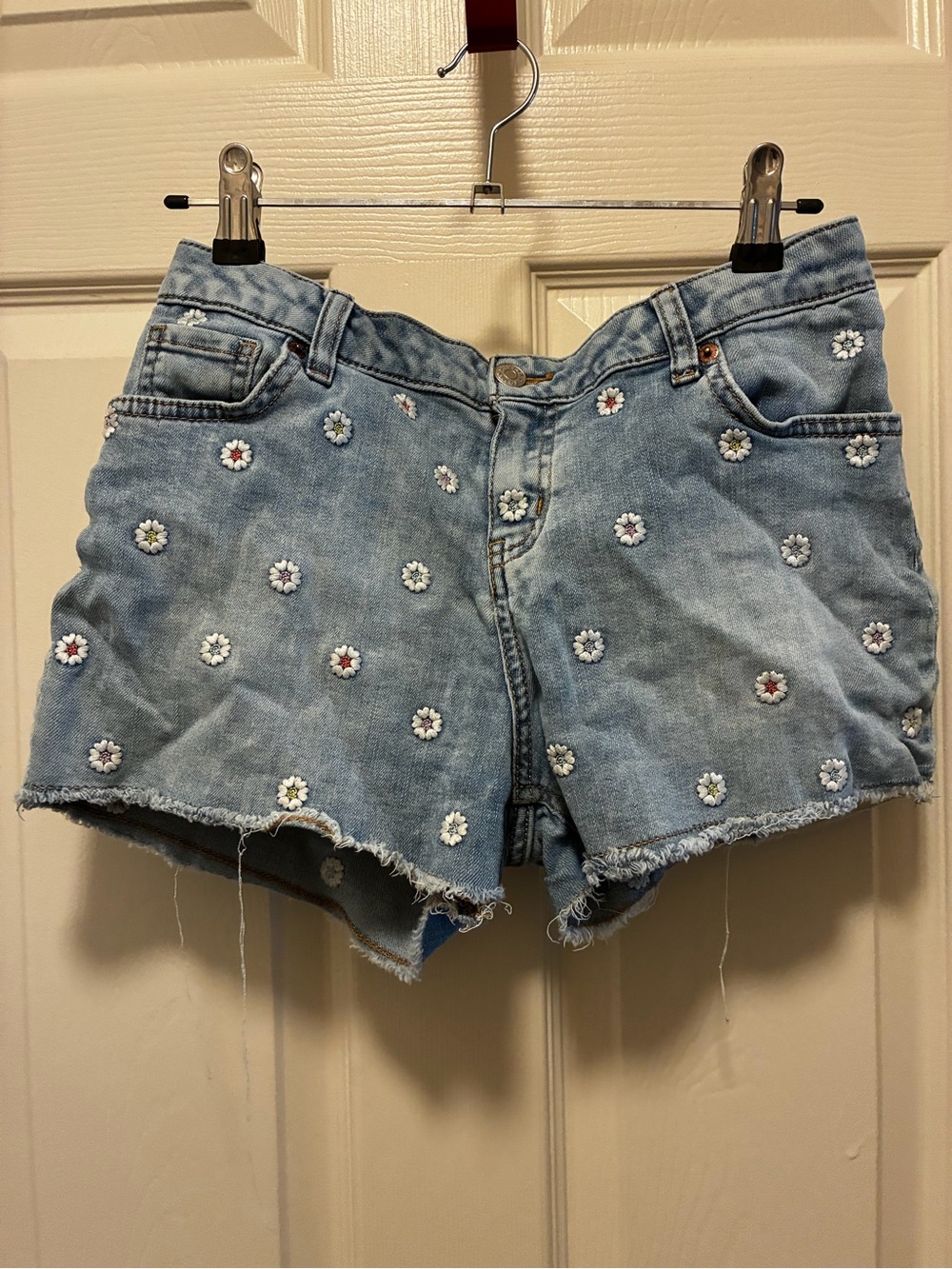 Light Blue Daisy-Embroidered Denim Shorts